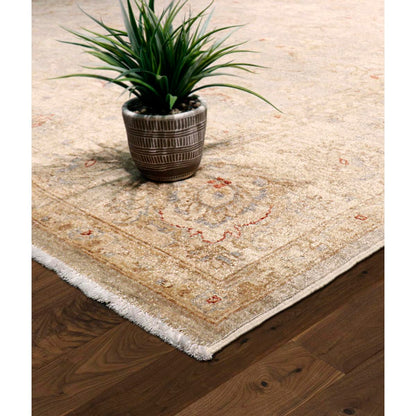 Denver Hand-Knotted Wool Area Rug
